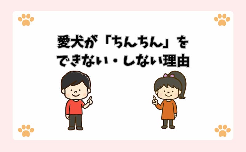 愛犬が「ちんちん」をできない・しない理由