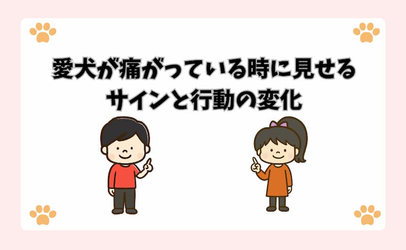 愛犬が痛がっている時に見せるサインと行動の変化