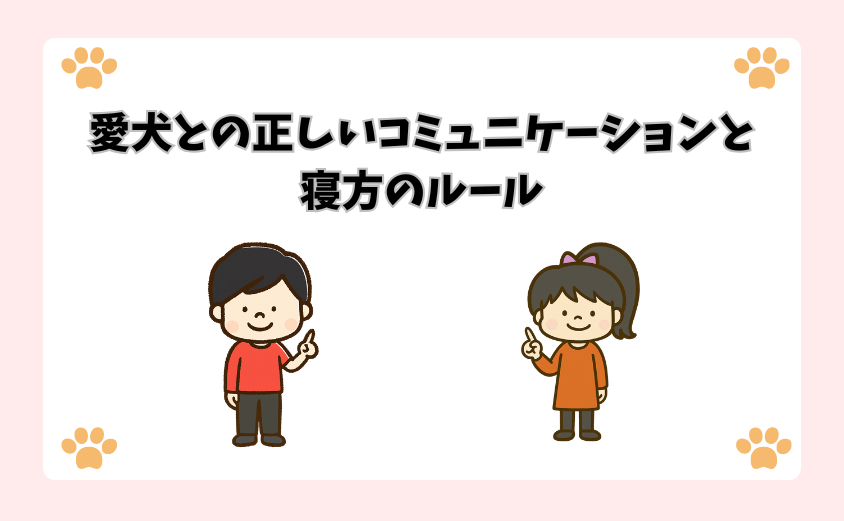 愛犬との正しいコミュニケーションと寝方のルール