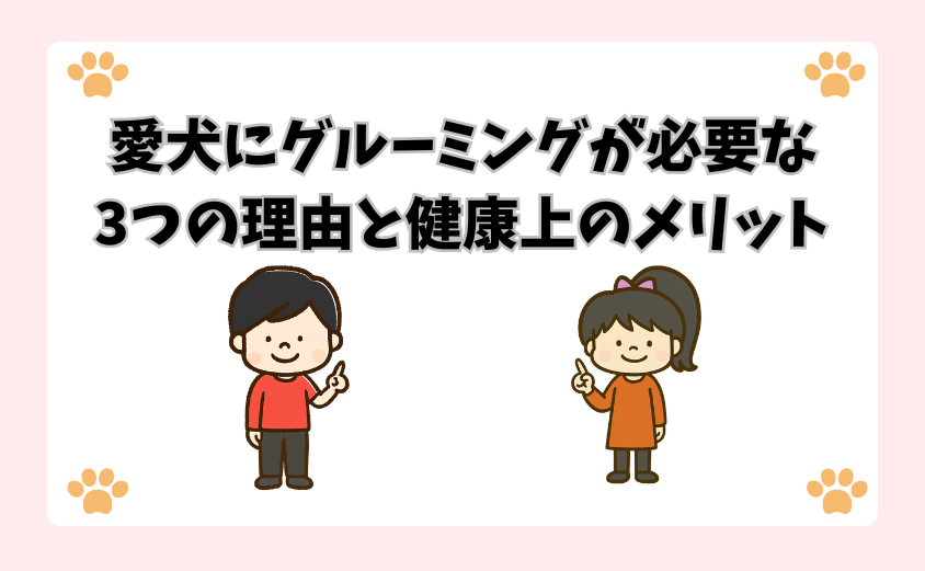 愛犬にグルーミングが必要な3つの理由と健康上のメリット