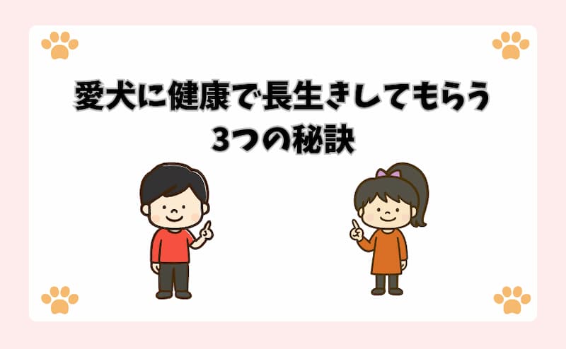 愛犬に健康で長生きしてもらう3つの秘訣