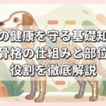 愛犬の健康を守る基礎知識！犬の骨格の仕組みと部位別の役割を徹底解説