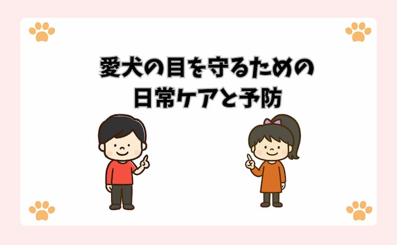 愛犬の目を守るための日常ケアと予防