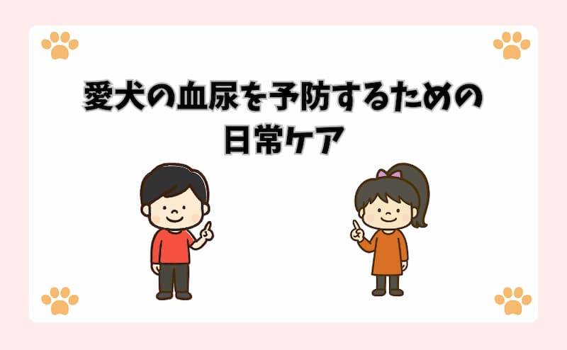 愛犬の血尿を予防するための日常ケア