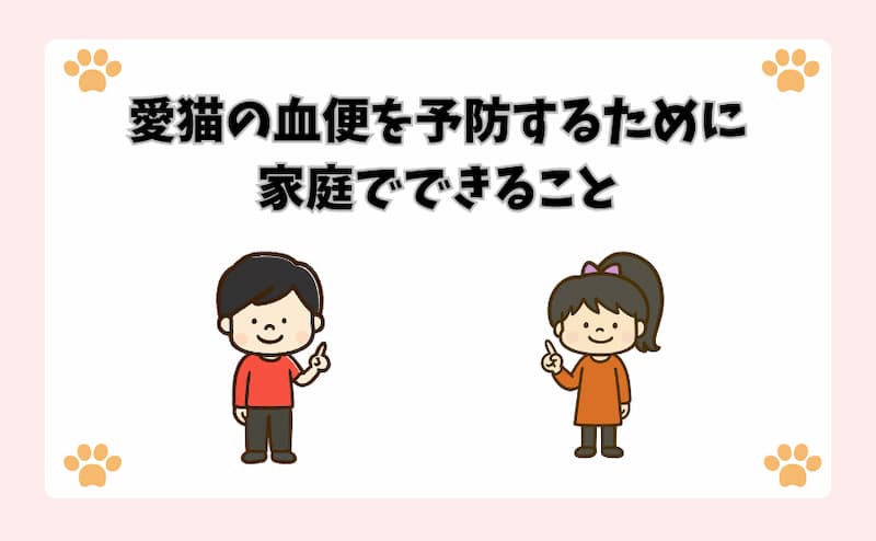 愛猫の血便を予防するために家庭でできること