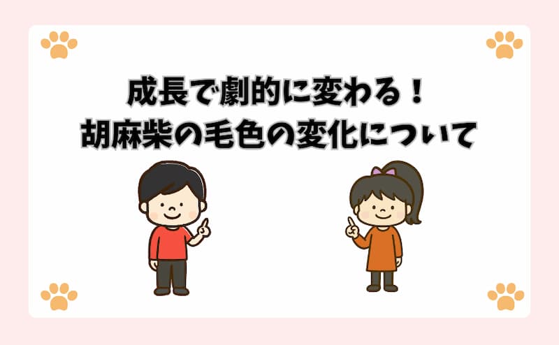 成長で劇的に変わる！胡麻柴の毛色の変化について