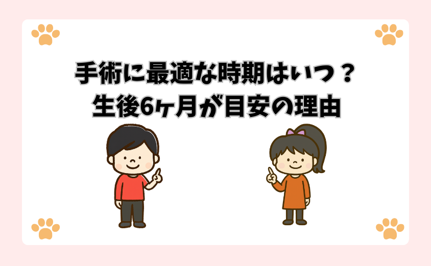 手術に最適な時期はいつ？生後6ヶ月が目安の理由