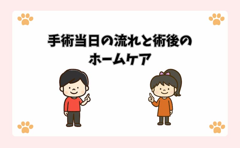 手術当日の流れと術後のホームケア