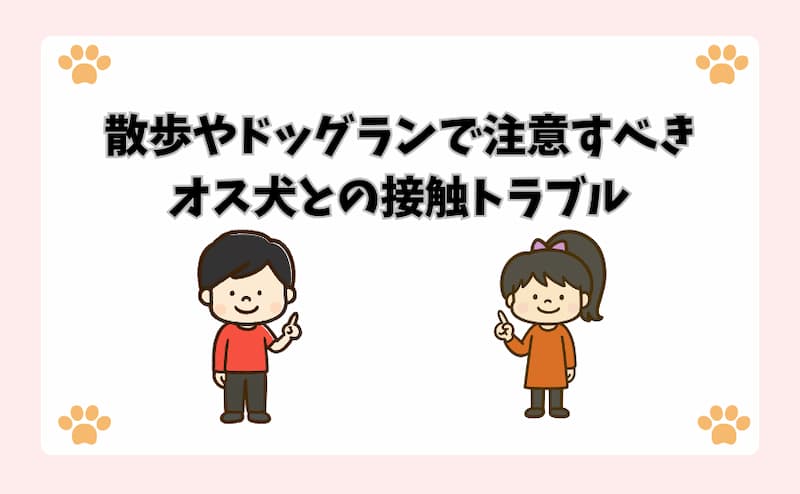 散歩やドッグランで注意すべきオス犬との接触トラブル
