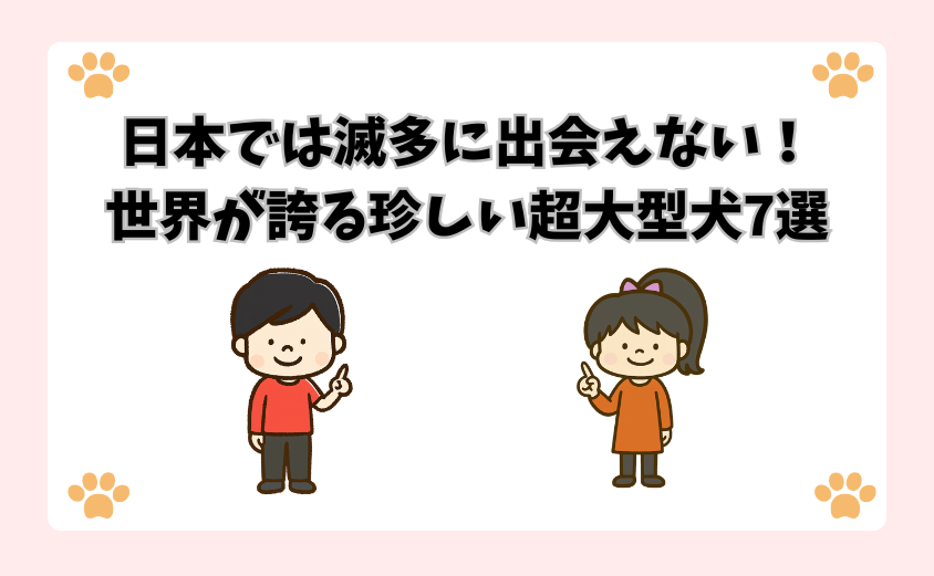 日本では滅多に出会えない！世界が誇る珍しい超大型犬7選