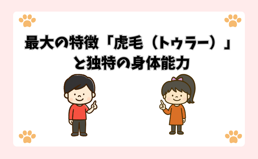 最大の特徴「虎毛（トゥラー）」と独特の身体能力