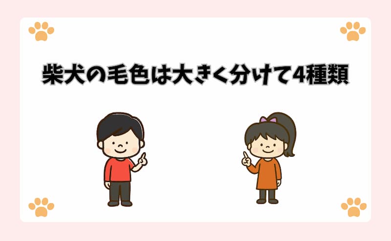 柴犬の毛色は大きく分けて4種類