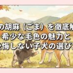 柴犬の胡麻（ごま）を徹底解説｜希少な毛色の魅力と後悔しない子犬の選び方