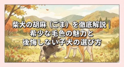 柴犬の胡麻（ごま）を徹底解説｜希少な毛色の魅力と後悔しない子犬の選び方