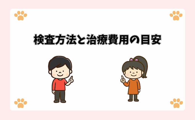 検査方法と治療費用の目安