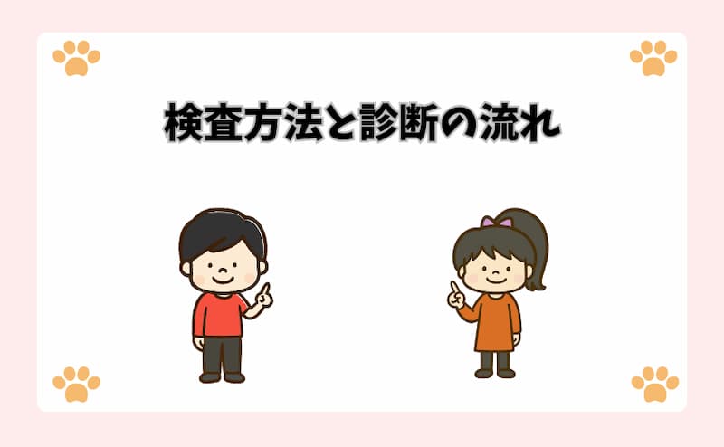 検査方法と診断の流れ