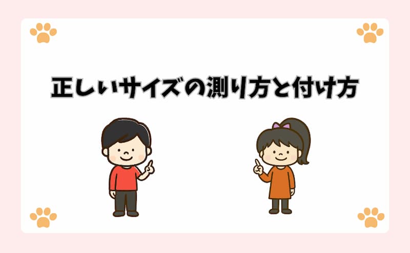 正しいサイズの測り方と付け方