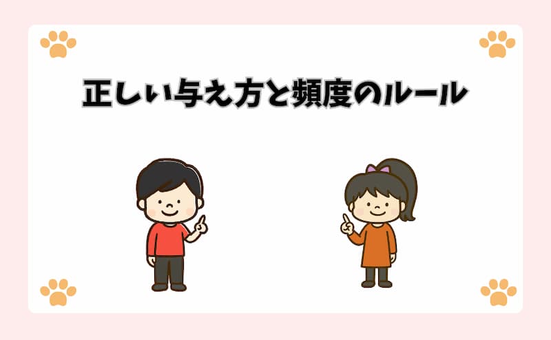 正しい与え方と頻度のルール