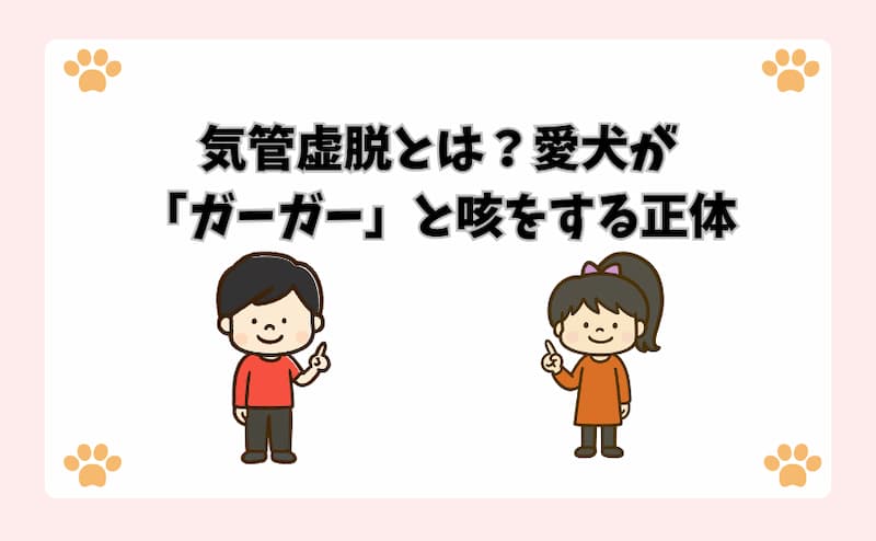 気管虚脱とは？愛犬が「ガーガー」と咳をする正体