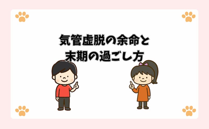 気管虚脱の余命と末期の過ごし方