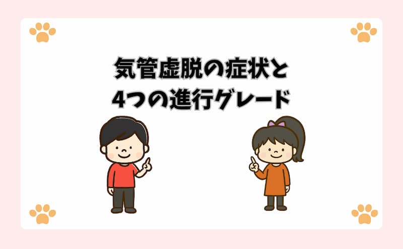気管虚脱の症状と4つの進行グレード