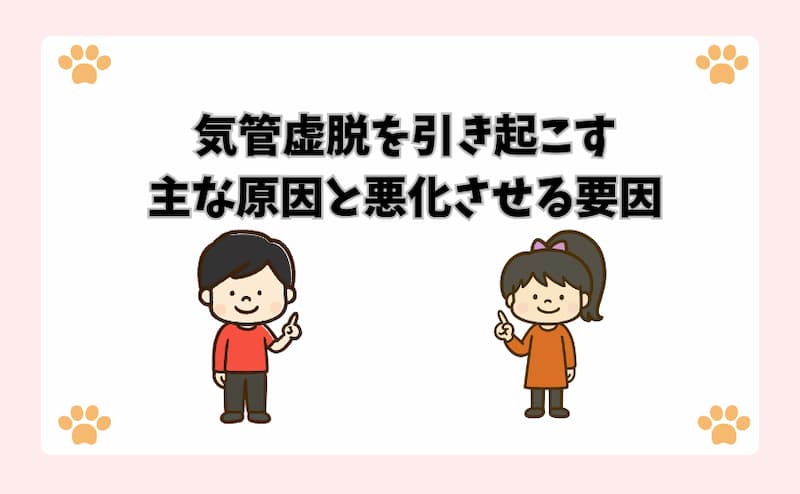 気管虚脱を引き起こす主な原因と悪化させる要因