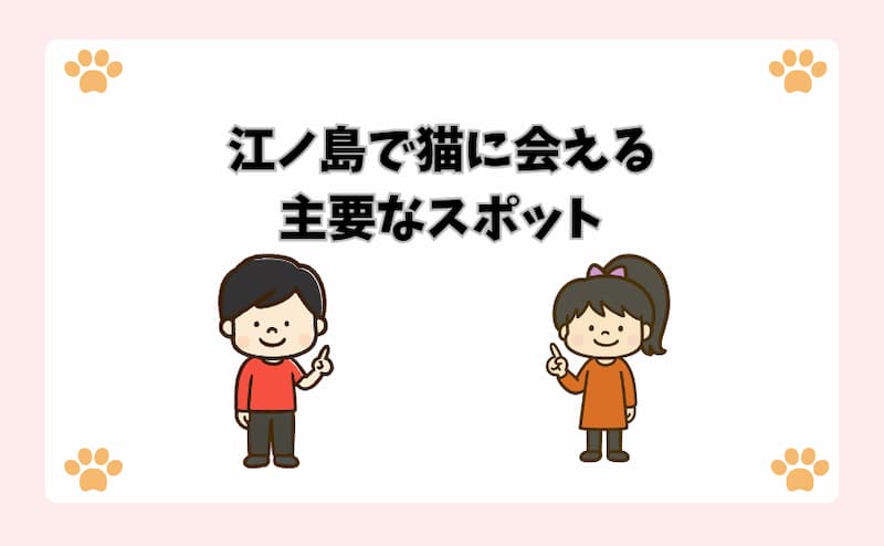 江ノ島で猫に会える主要なスポット