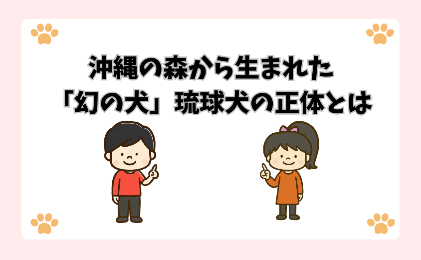 沖縄の森から生まれた「幻の犬」琉球犬の正体とは