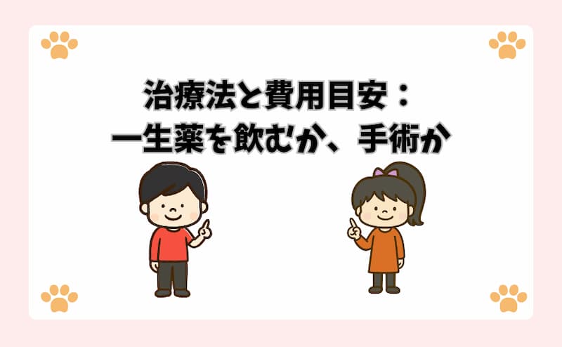 治療法と費用目安：一生薬を飲むか、手術か