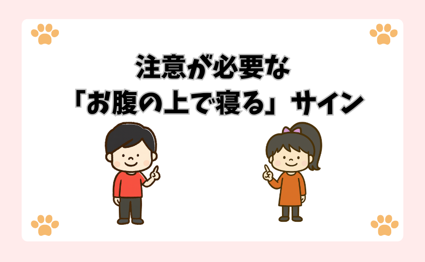 注意が必要な「お腹の上で寝る」サイン