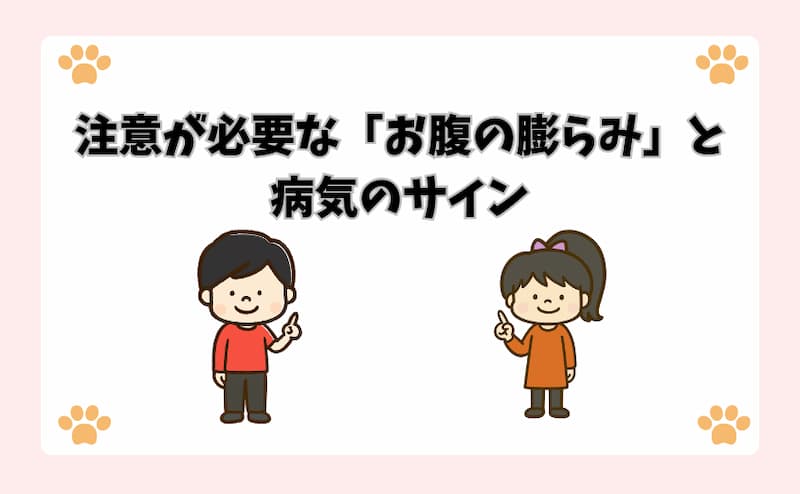 注意が必要な「お腹の膨らみ」と病気のサイン