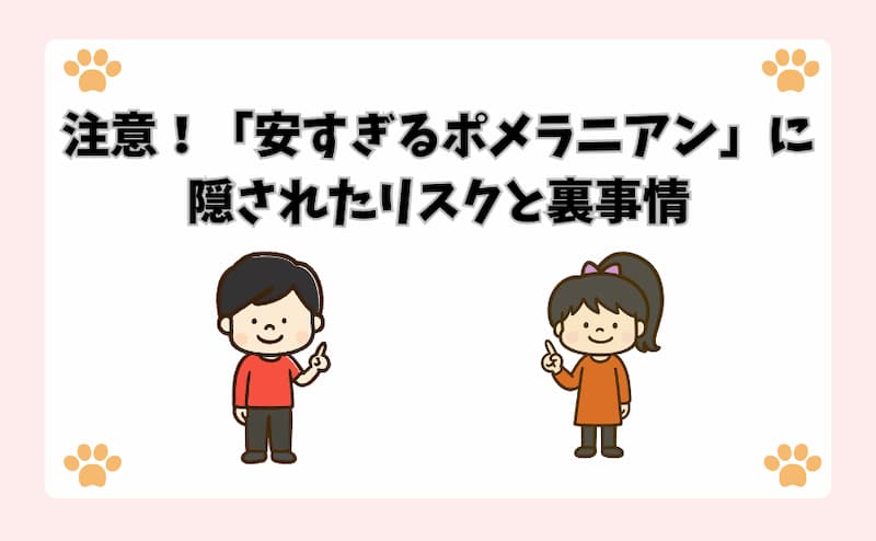 注意！「安すぎるポメラニアン」に隠されたリスクと裏事情
