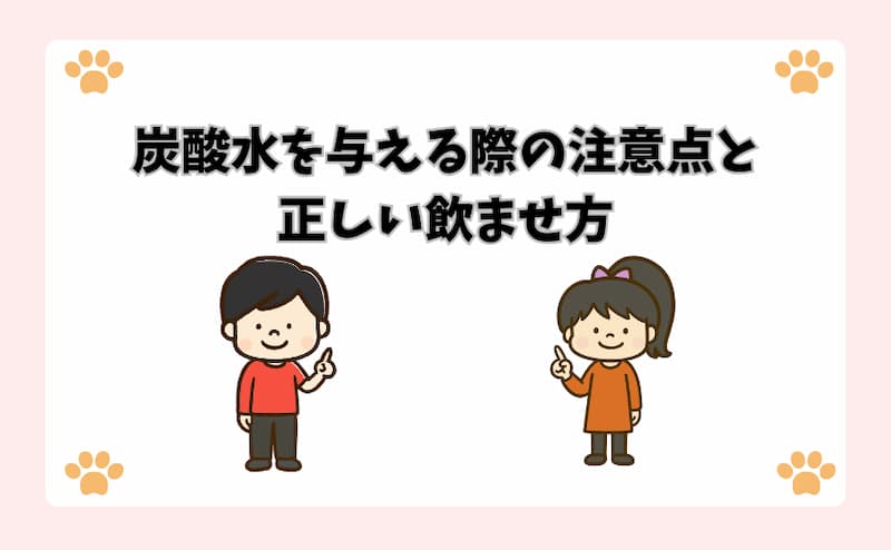 炭酸水を与える際の注意点と正しい飲ませ方