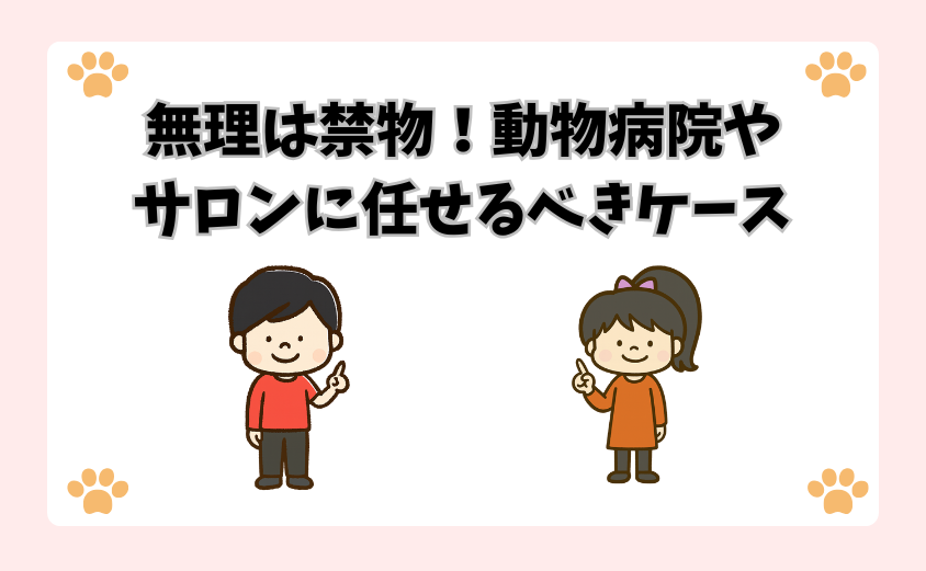 無理は禁物！動物病院やサロンに任せるべきケース