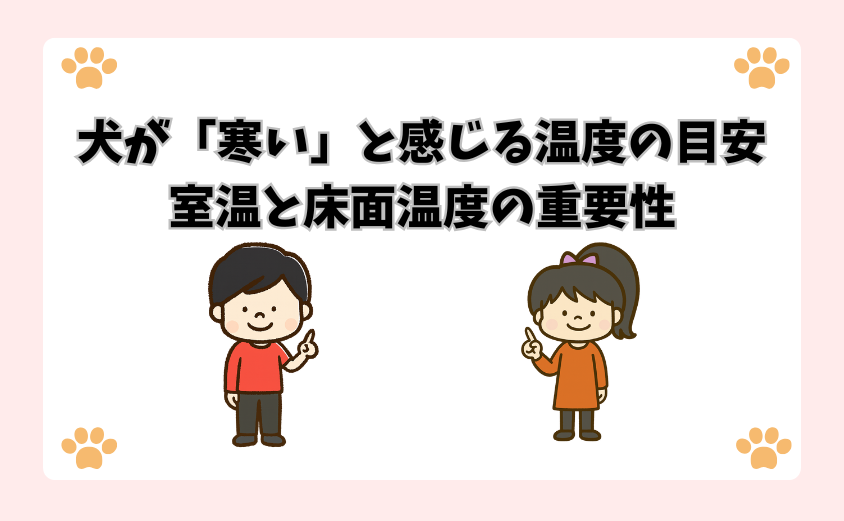 犬が「寒い」と感じる温度の目安｜室温と床面温度の重要性