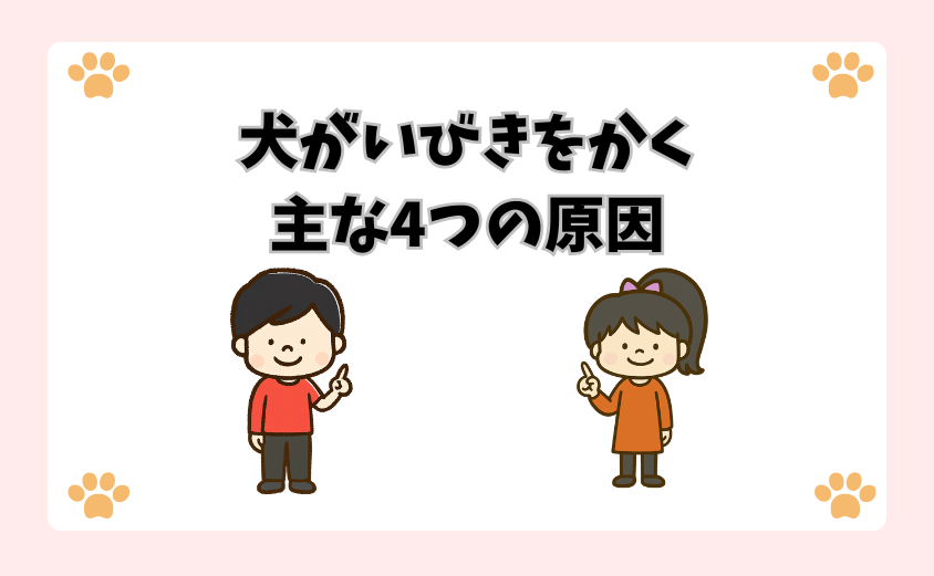 犬がいびきをかく主な4つの原因