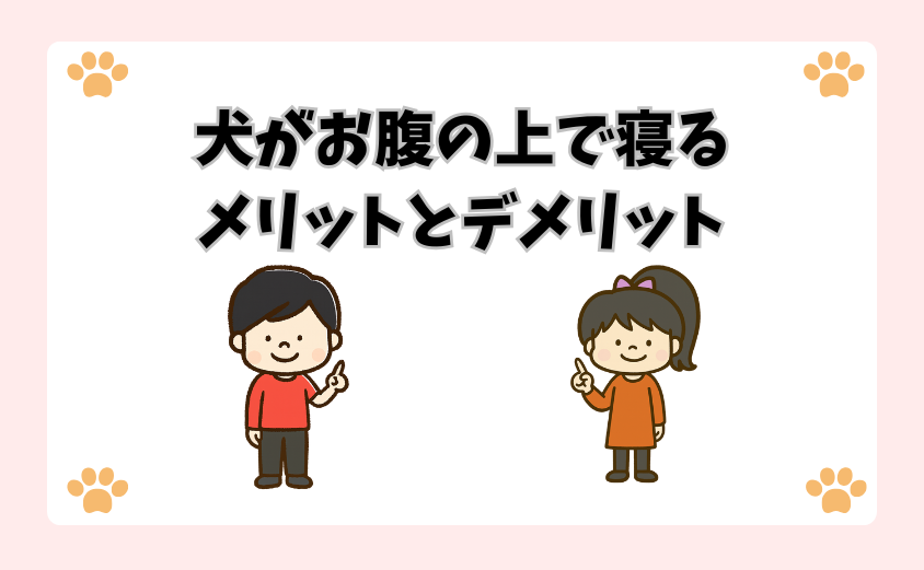 犬がお腹の上で寝るメリットとデメリット