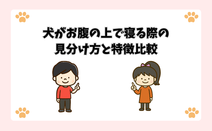 犬がお腹の上で寝る際の見分け方と特徴比較