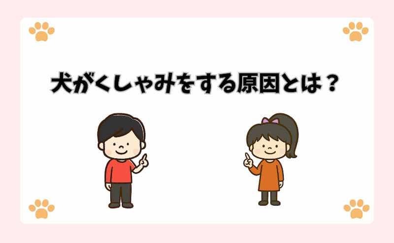 犬がくしゃみをする原因とは？
