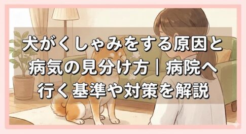犬がくしゃみをする原因と病気の見分け方｜病院へ行く基準や対策を解説