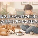 犬がご飯を食べない時の原因と対策！病気の見分け方やNG行動を解説