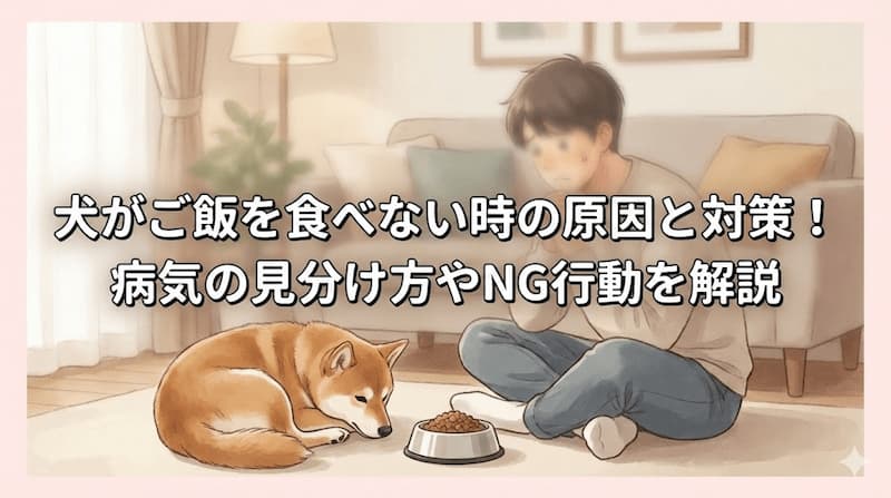 犬がご飯を食べない時の原因と対策！病気の見分け方やNG行動を解説