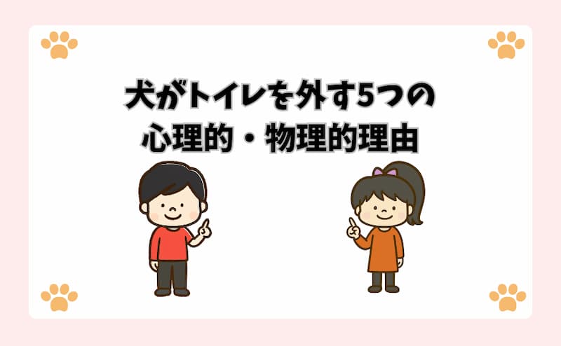 犬がトイレを外す5つの心理的・物理的理由