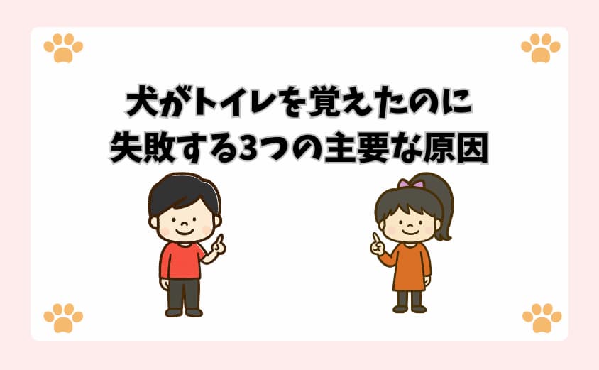 犬がトイレを覚えたのに失敗する3つの主要な原因