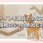 犬がトイレを覚えたのに失敗！急な粗相の5つの原因と対策法