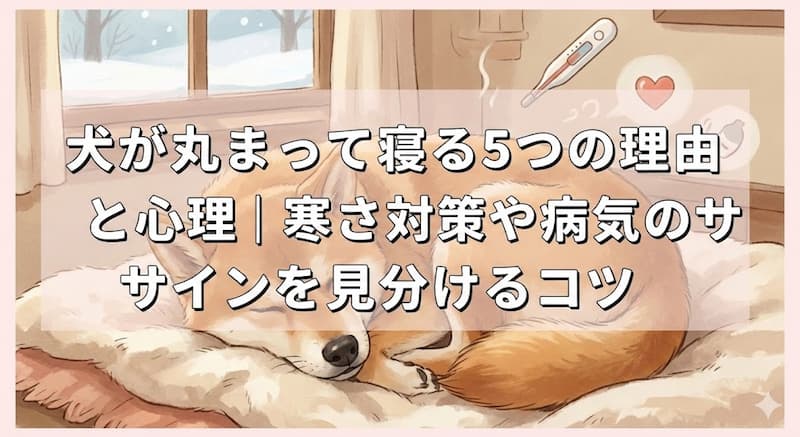 犬が丸まって寝る5つの理由と心理｜寒さ対策や病気のサインを見分けるコツ
