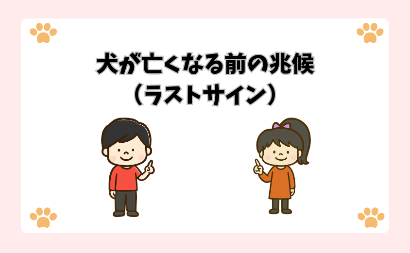 犬が亡くなる前の兆候（ラストサイン）