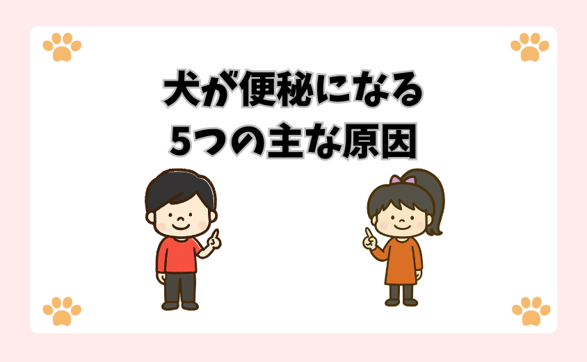 犬が便秘になる5つの主な原因