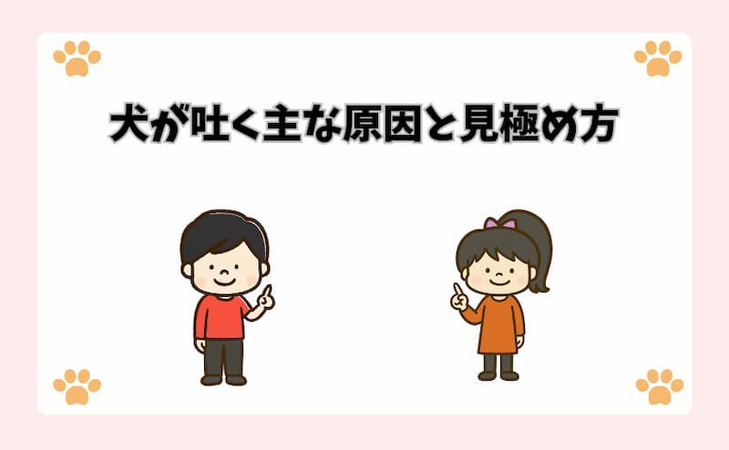犬が吐く主な原因と見極め方