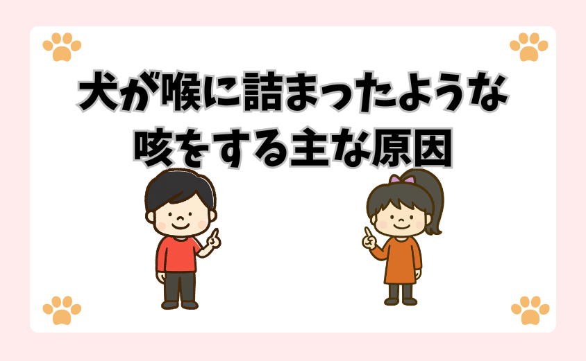 犬が喉に詰まったような咳をする主な原因